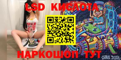 прущие грибы Конаково